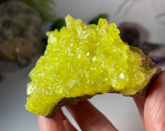 Sulfur from Bolivia, Vivid Neon Yellow Sulfur Mineral Specimen, Crystallized Sulfur on matrix, 107 grams, No 827