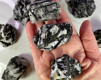 Black Tourmaline in Quartz or Tourmalinated Quartz Mineral Specimens, Natural Raw Crystal , Average Size 2" to 2.5"  ,  No.1523
