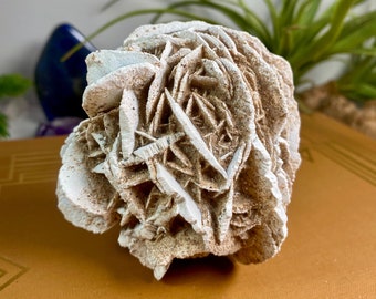 Desert Rose Mineral Specimen from Mexico, Gypsum Rock Rose, Selenite Desert Rose Formation, 359 grams,No 864