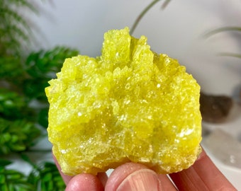 Crystallized Sulfur Cluster from Bolivia, Gemmy Lemon Yellow Sulfur Mineral Specimen, 70 grams, No 753