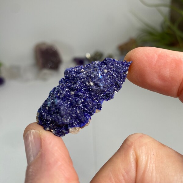 Azurite Mineral Specimen from Morocco, bright blue well formed Azurite crystals on matrix, 16.6 grams, No 878