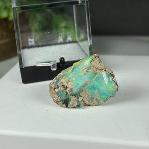 May include: A raw, uncut opal gemstone displaying vibrant flashes of green, blue, and yellow iridescence against a natural, textured, earthy matrix. The stone is positioned in front of a clear, square plastic display case with a black base.