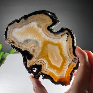 May include: A polished agate slice with a unique, organic shape. The stone features bands of black, white, tan, and golden yellow. The edge is dark and rough, while the interior is smooth and translucent. The tag reads "MADE IN BRAZIL".