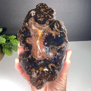 Agate Slice from Brazil with lovely variegated colors and small druzy Quartz.  Polished on both sides with the edges left rough and natural