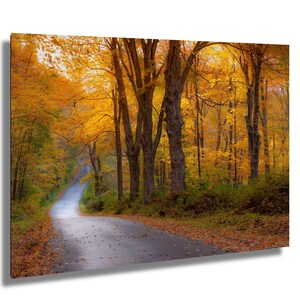 Golden Autumn Road Wall Art – Fall Foliage Photography Print – Scenic Nature Decor for Rustic or Modern Interiors