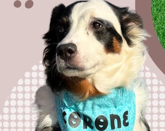 Personalized Snap-On Dog Bandana, Custom Pet Scarf, Name Bandana, Small to XXL