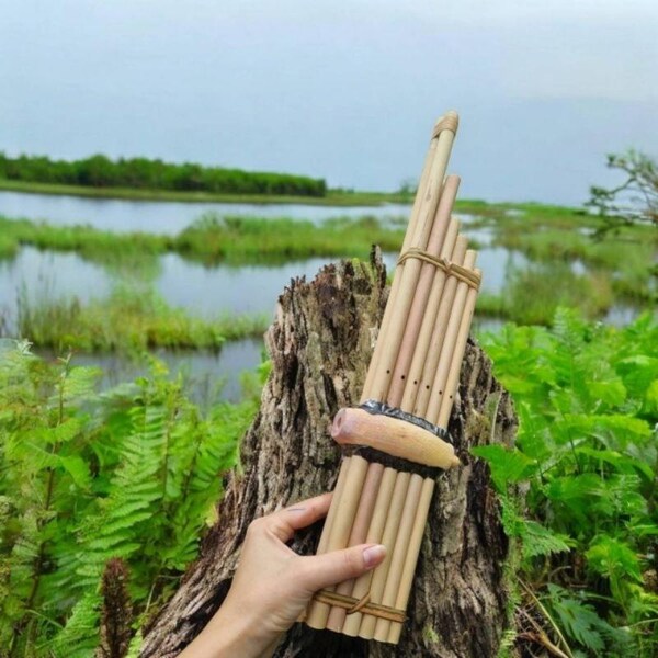 Kayeen Instrument Khaen Instrument - Etsy