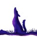 Coyote Mountain Art