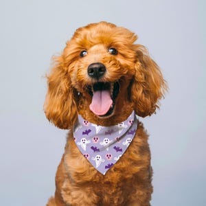 Clip-on Pet Bandana, Halloween Dog Cat Collar Bandana, Halloween Pet Outfit, Spooky Pet Accessories
