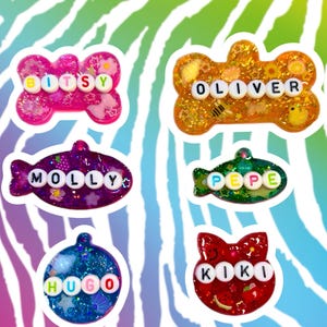 Personalised Custom Made Resin Pet Tag, Custom Cat Tag, Letter bead dog tag, Dog tag Resin, Resin Cat Tag.