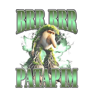 Brr Brr Patapim Funny Italian Brainrot Meme Humor Gen Z  PNG Digital