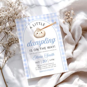 May include: Baby shower invitation with a blue gingham pattern and the words "A Little Dumpling is on the Way!" A cute dumpling illustration is at the top. The invitation includes the date, time, and location.