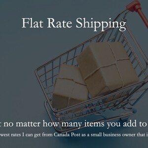 May include: A silver shopping cart filled with two brown packages, on a blue background. The text "Flat Rate Shipping" is at the top of the image. The text "Same cost no matter how many items you add to your cart." is at the bottom of the image.