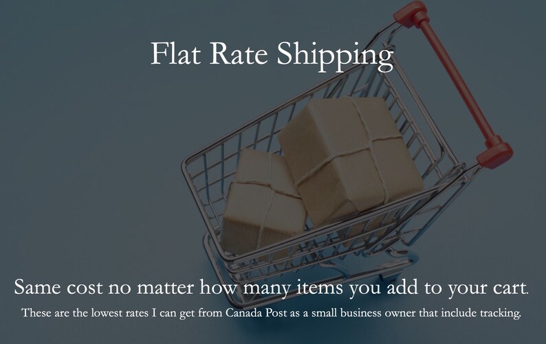 May include: A silver shopping cart filled with two brown packages, on a blue background. The text "Flat Rate Shipping" is at the top of the image. The text "Same cost no matter how many items you add to your cart." is at the bottom of the image.