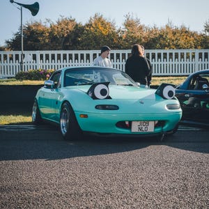 May include: A light teal convertible car with large cartoon eyes on the headlights and a license plate that reads "JI09 NLO". The car is parked on asphalt with a white picket fence and trees in the background.