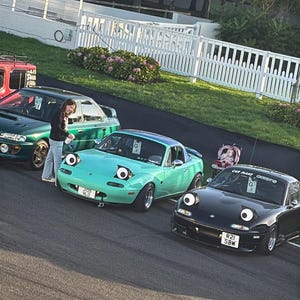 May include: Three cars parked on asphalt. A teal convertible with cartoon eyes is in the center, flanked by a green car on the left and a black car on the right. A person stands near the green car. A white fence and greenery are in the background.
