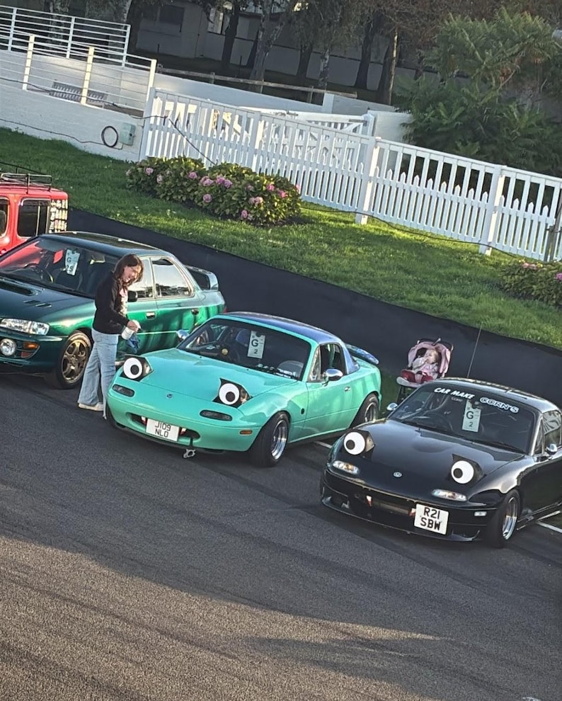 May include: Three cars parked on asphalt. A teal convertible with cartoon eyes is in the center, flanked by a green car on the left and a black car on the right. A person stands near the green car. A white fence and greenery are in the background.