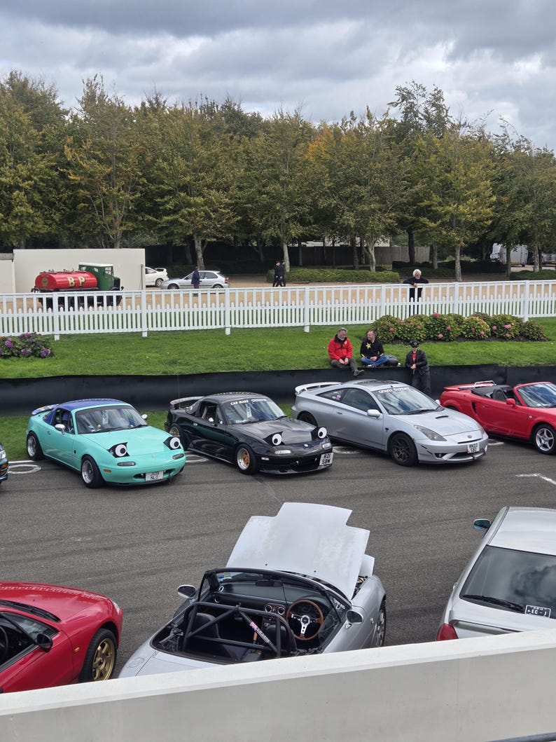 May include: A gathering of several sports cars, including a light blue convertible, a black convertible, and a red convertible, parked on a paved area. The cars have cartoon-like headlights. The scene is set outdoors with trees and a white fence in the background.