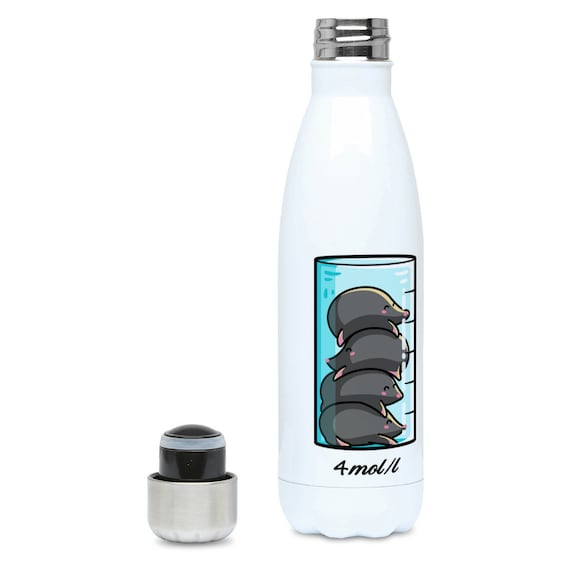 cute stainless steel insulated water bottle