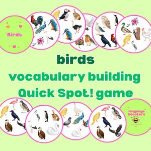 Schneller Fleck! Vogel-Zuordnungsspiel – Druckbares PDF – Lustiges Dobble-inspiriertes Lernspiel für Kinder – Sofortiger Download – Lernaktivität in der Natur