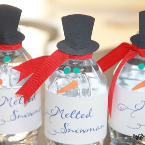 Melted Snowman Water Bottle Kit image 7