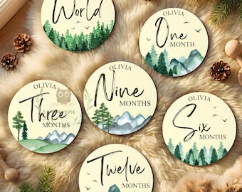 Mountain Baby Birth Stat Sign for Hospital Photo Prop Name Plaque Hospital Newborn Personalized Announcement Baby Heirloom Gift Newborn
