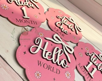 Ausgebogte rosa Baby Meilenstein Scheiben, Schleife Photo Prop, erstes Jahr