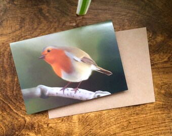 Robin Card - Blank Inside - Nature Art - Christmas Card - A6 Card