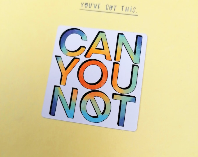 Can You Not - Rude Sticker - 5cm Sticker