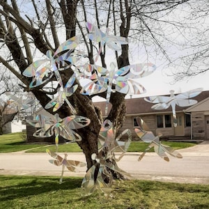 May include: A tree adorned with numerous iridescent dragonfly ornaments. The dragonflies, crafted from reflective material, are suspended from the branches, creating a shimmering display. The scene is set outdoors with a house in the background.
