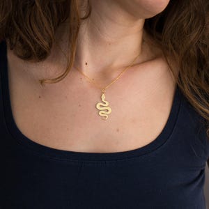 Collar con colgante de serpiente de plata de ley: amuleto espiritual