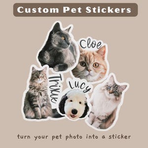 Custom Pet Sticker, Die Cut Vinyl Waterproof, Personalized Gift, Custom Dog, Custom Cat Sticker, Water Bottle Sticker, Pet Decal