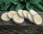 Birch Bark Tree Slices  20 Small   for  DIY Projects   Wedding Decor Birch Wood