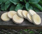 Birch Bark Tree Slices  20 Small   for  DIY Projects   Wedding Decor Birch Wood