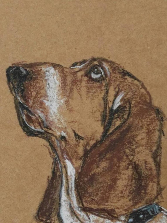 Basset Hound Dog Drawing On A4 Brown Paper Mixed Media Art Etsy