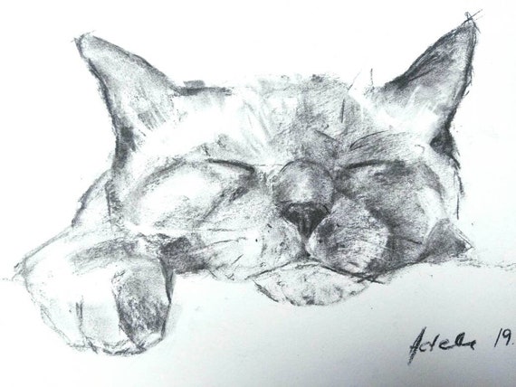 Couchage Chat Paresseux Dessin Au Fusain A4 Original Art Pet Portraits Australien Artiste Maison Decor Kids Room Decor