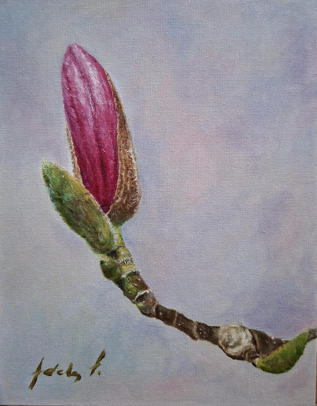 Saucer Magnolia Bud Oil Painting on Canvas Board (7x9 Inches) - Etsy