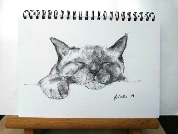 Couchage Chat Paresseux Dessin Au Fusain A4 Original Art Pet Portraits Australien Artiste Maison Decor Kids Room Decor