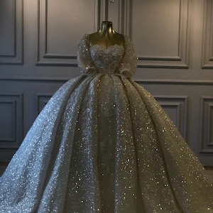 Dreamy Glitter Tulle Ball Gown Wedding Dress with Long Lace Sleeves