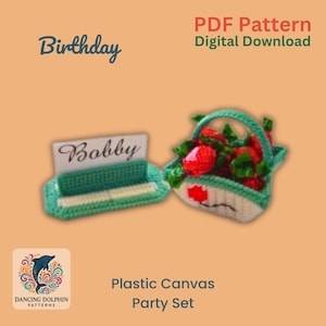 Verjaardagsfeestje set plastic canvas patroon pdf – kaarthouder mandje en naam – canvas 7 tellen – digitale download – schrootvriendelijk project