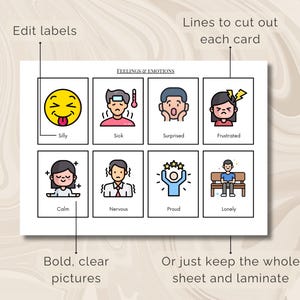 PECs Picture Communication Cards for Autism Communication pdf - Nonverbal Printable Visual Aid Flashcards for Home School or Therapy image 3