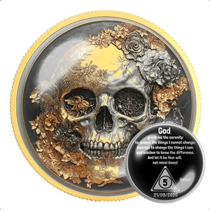Demon Skull Sobriety Coin for AA NA Recovery | Clean Time Milestone Medallion | Sober Anniversary Gift for Sponsor Sponsee