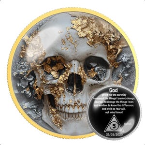 Demon Skull Sobriety Coin for AA NA Recovery | Clean Time Milestone Medallion | Sober Anniversary Gift for Sponsor Sponsee
