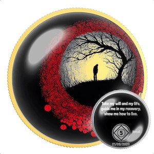 Narcoics Anonymous NA Medallion – 12 Step REcovery Münze für Clean Time Meilensteine – Geschenk für Nüchternheit