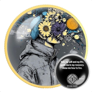 Narcoics Anonymous NA Medallion – 12 Step REcovery Münze für Clean Time Meilensteine – Geschenk für Nüchternheit