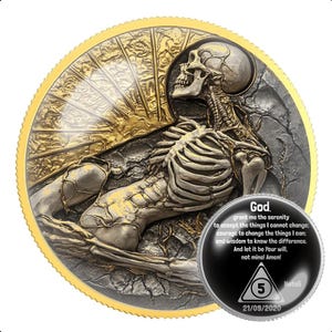 Demon Skull Sobriety Coin for AA NA Recovery | Clean Time Milestone Medallion | Sober Anniversary Gift for Sponsor Sponsee