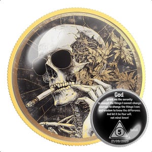 Demon Skull Sobriety Coin for AA NA Recovery | Clean Time Milestone Medallion | Sober Anniversary Gift for Sponsor Sponsee