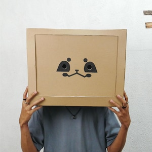May include: A person holding a large, brown cardboard box with a black, stylized cat face design. The box covers the person's head, and the design features two eye shapes and a nose. The person is wearing a grey t-shirt.