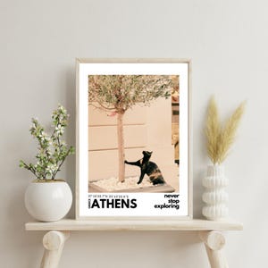 Stampa fotografica: scena vintage con gatto di Atene e ulivo per amanti dell'arte e della natura - Poster classico su carta opaca