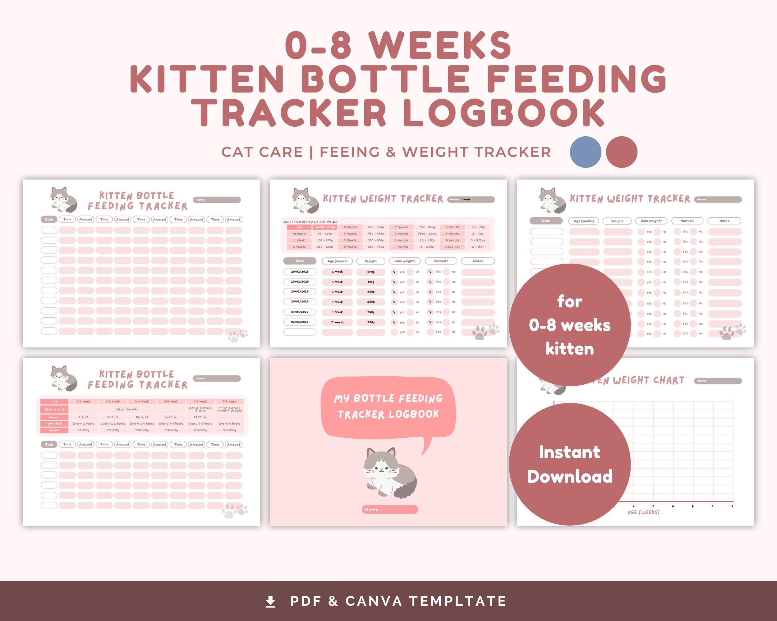 Feeding Schedule What Should I Feed A Baby Kitten Bottle Fed How